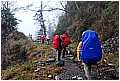 2008-1-25 am 07-20-51-230林道途中及路況.jpg